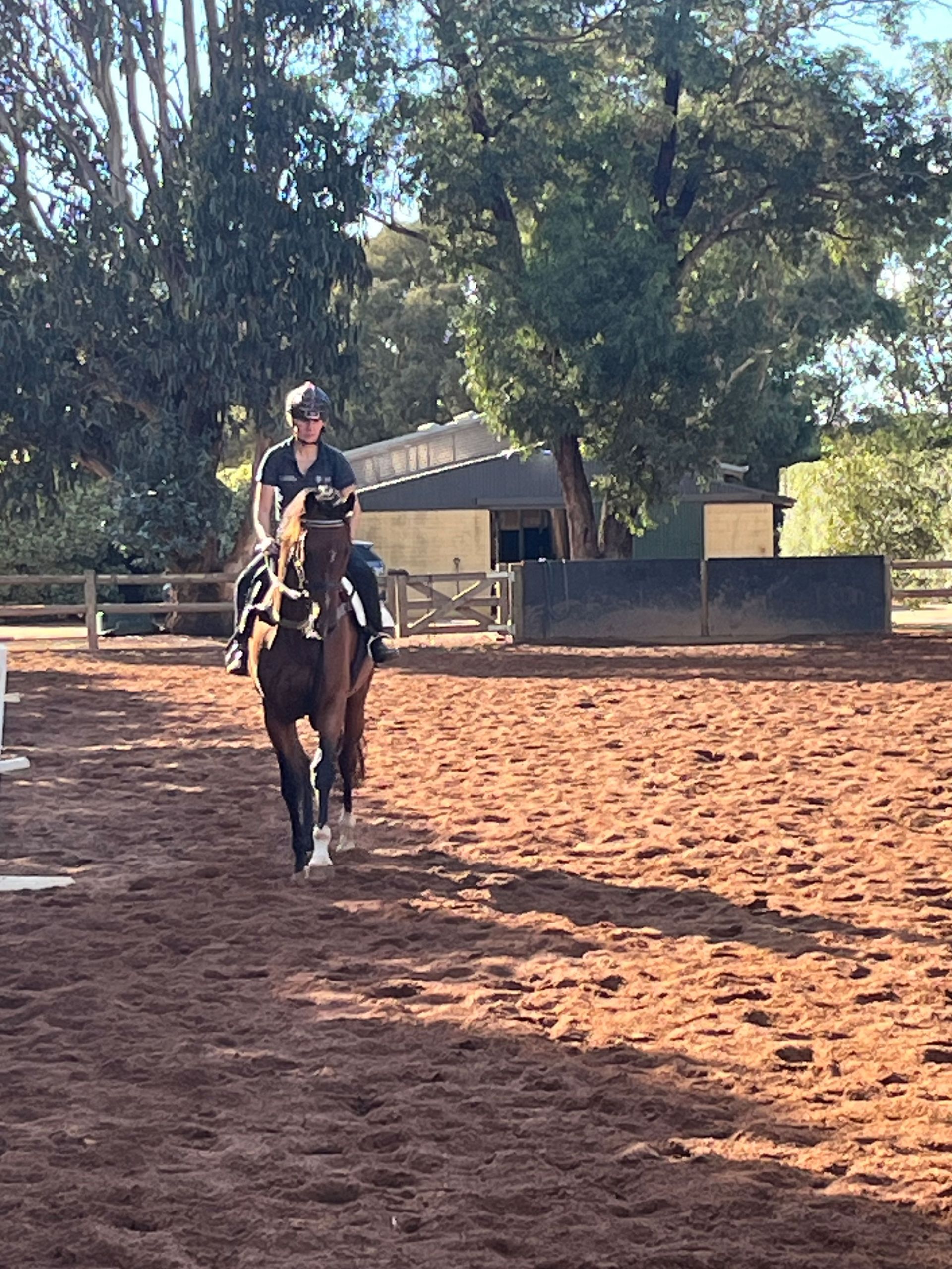 Training in progress