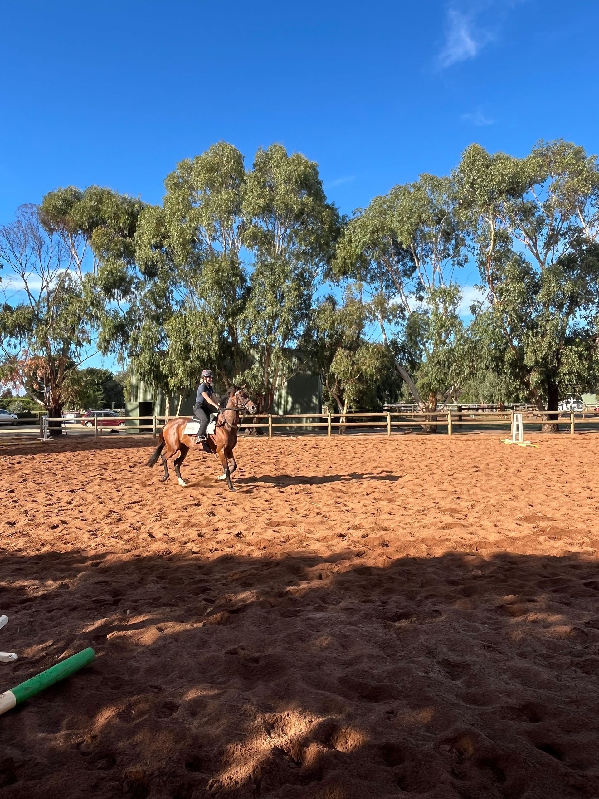 We love Training