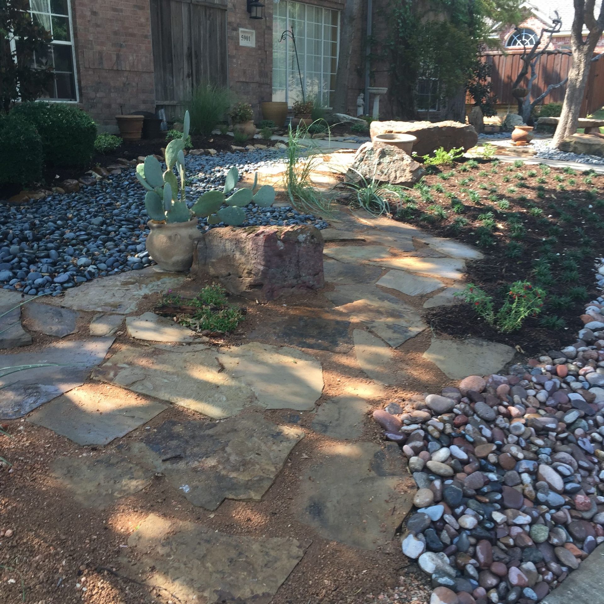 Stone pathway through a xeriscape garden with cacti and river rocks.