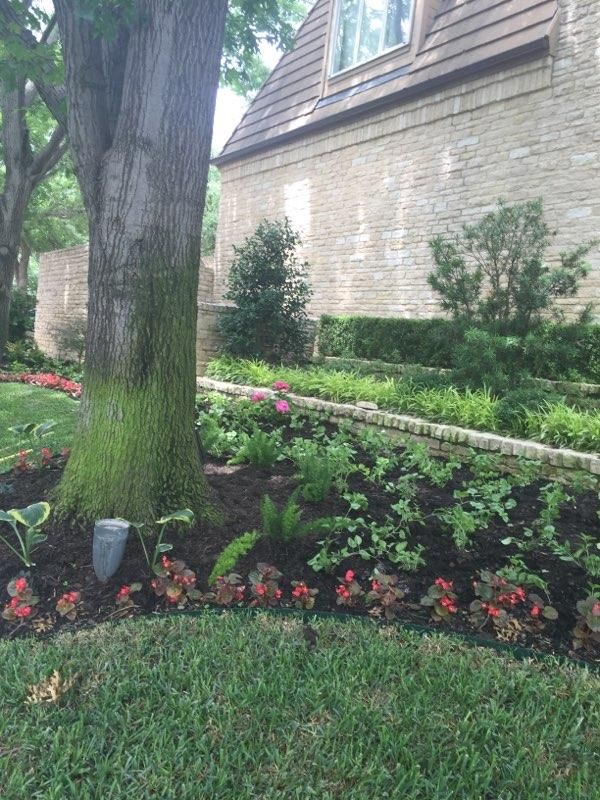 A well-landscaped front yard with a tree, flower beds, and a stone house. Green and red colors are dominant.