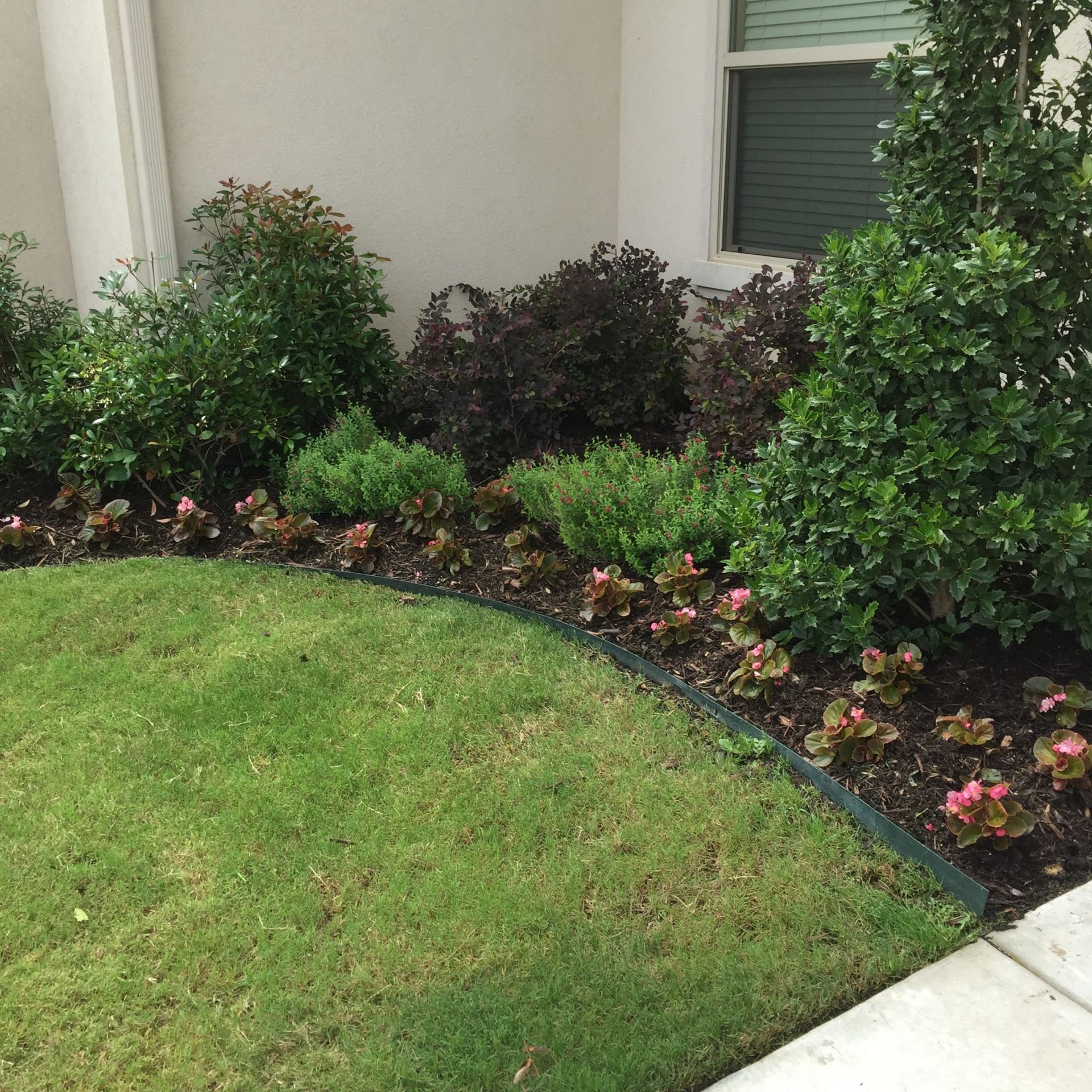 Green grass bordered by garden bed with bushes, flowers and dark edging.