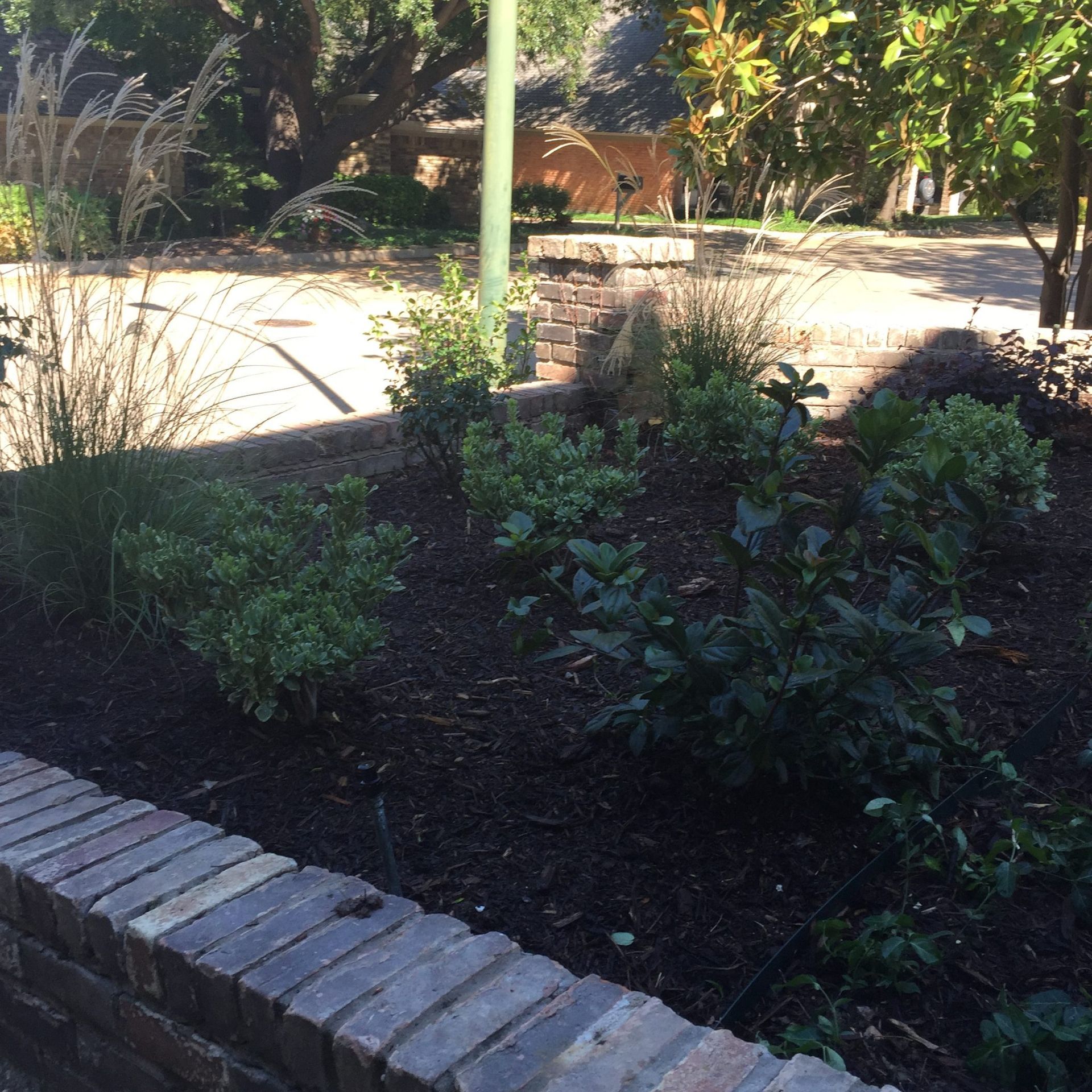 Brick-lined flower bed with dark mulch and green shrubs, lit by sunlight; a sidewalk and building are in the background.