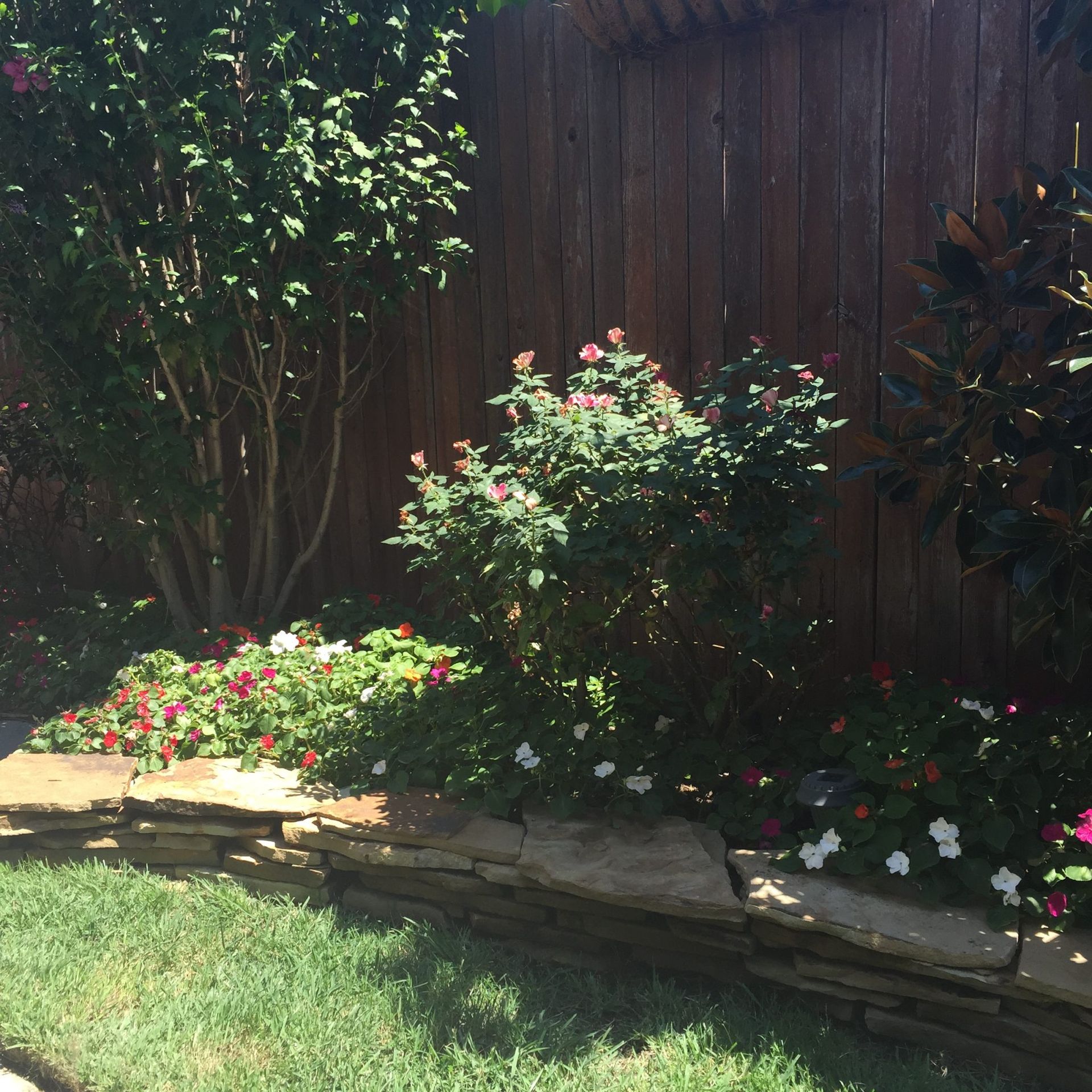 Lush garden bed with red and white flowers, stone wall, green lawn, and wooden fence.