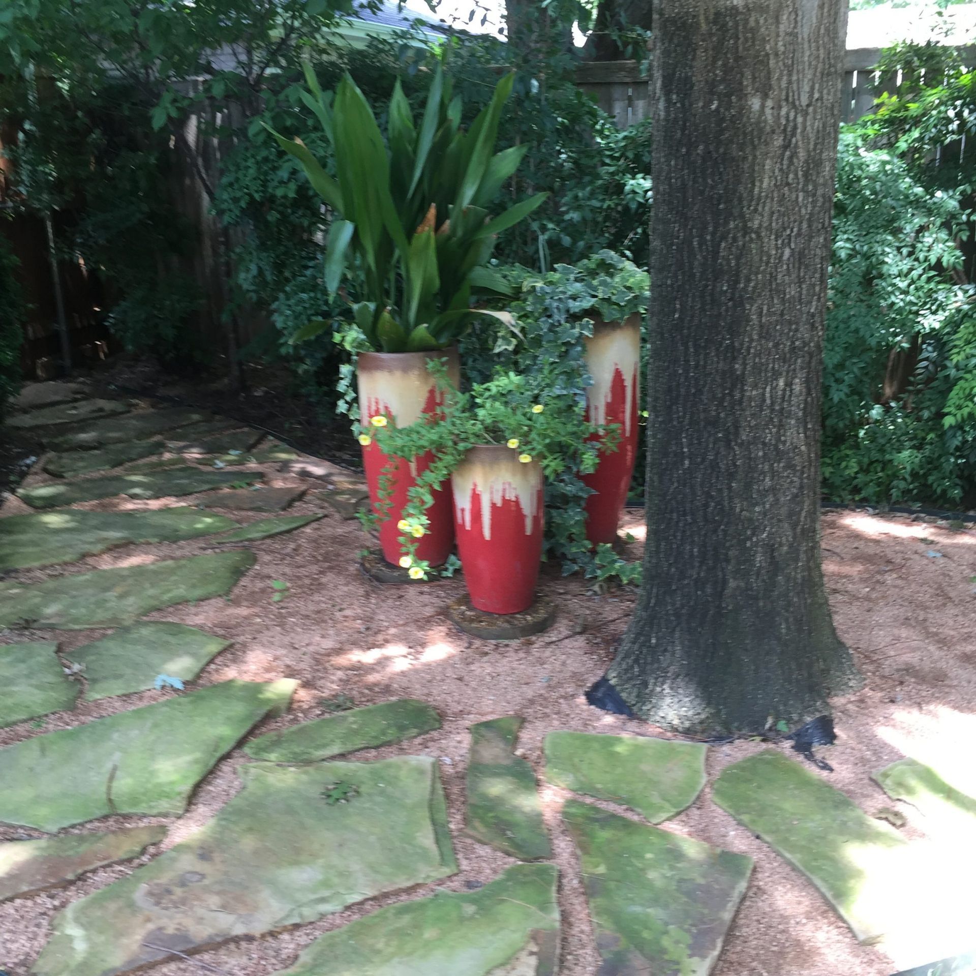 Stone path leads to red pots with plants near a tree.