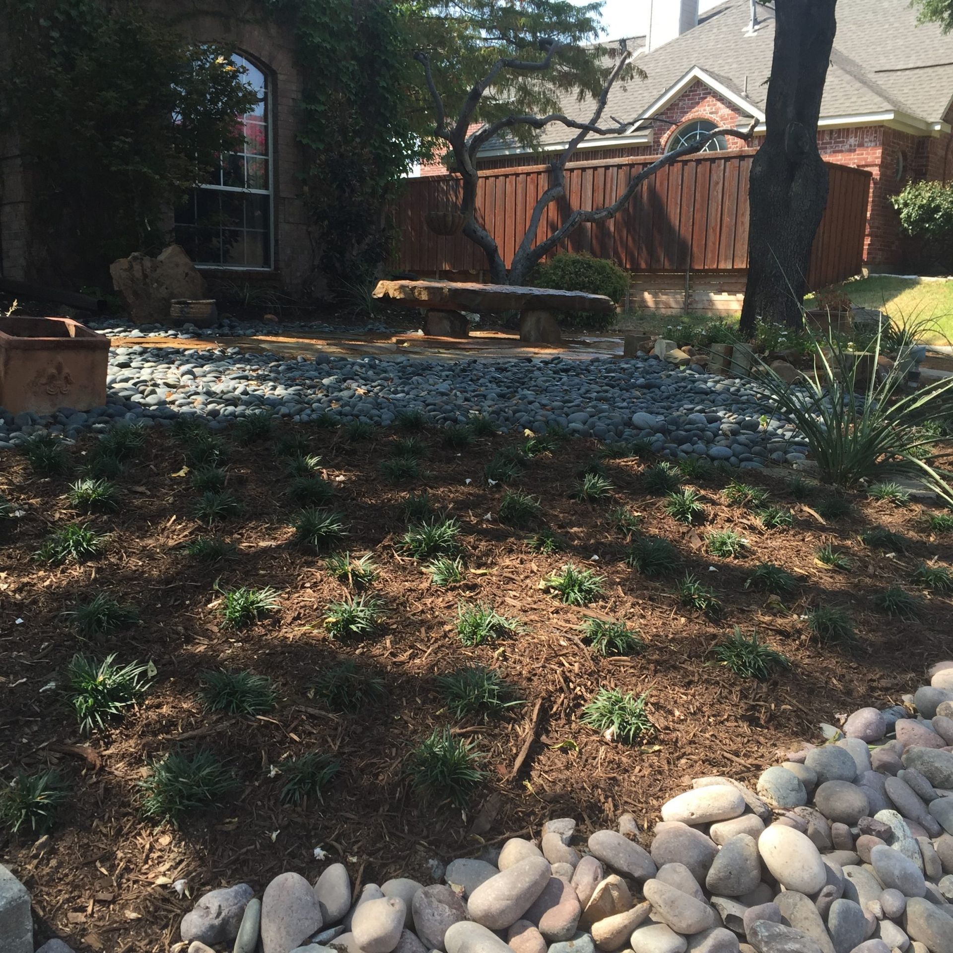A front yard landscape with rocks, plants, a stone bench, and a partially vine-covered structure.