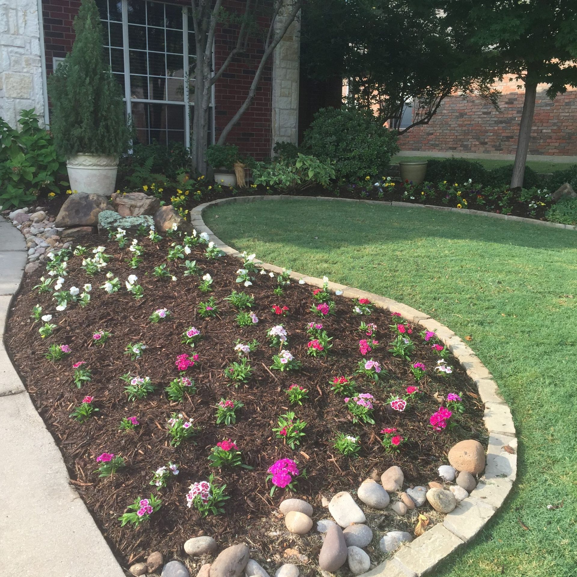 Flower bed with pink and white flowers, edged by stones, next to a green lawn and brick house.