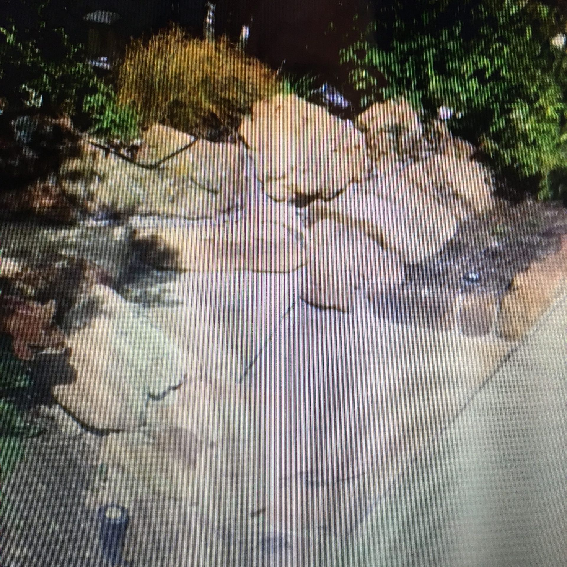 Stone path winding through a garden, shaded with striped light.