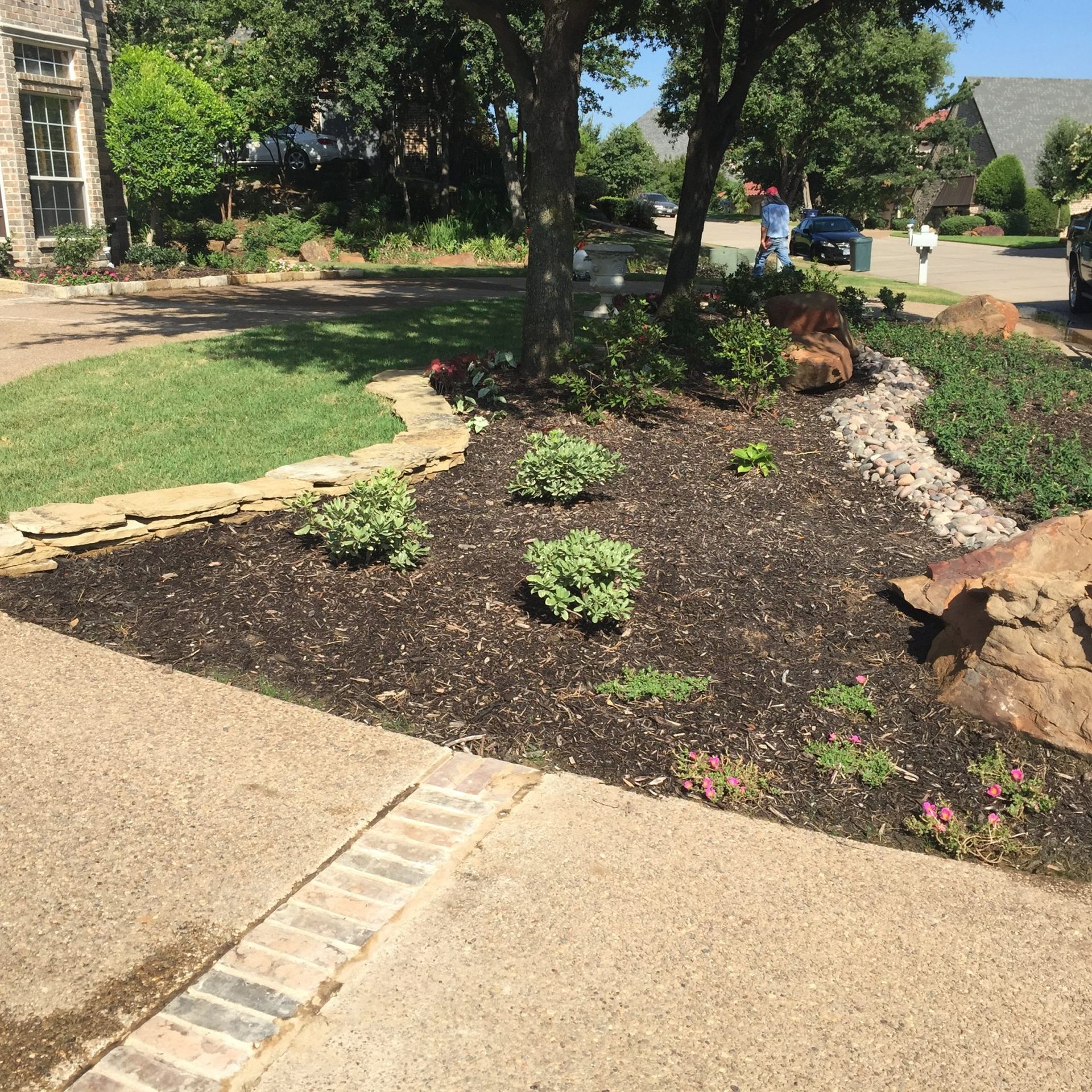 Landscaped yard with mulch, plants, stone border, and concrete pathway.
