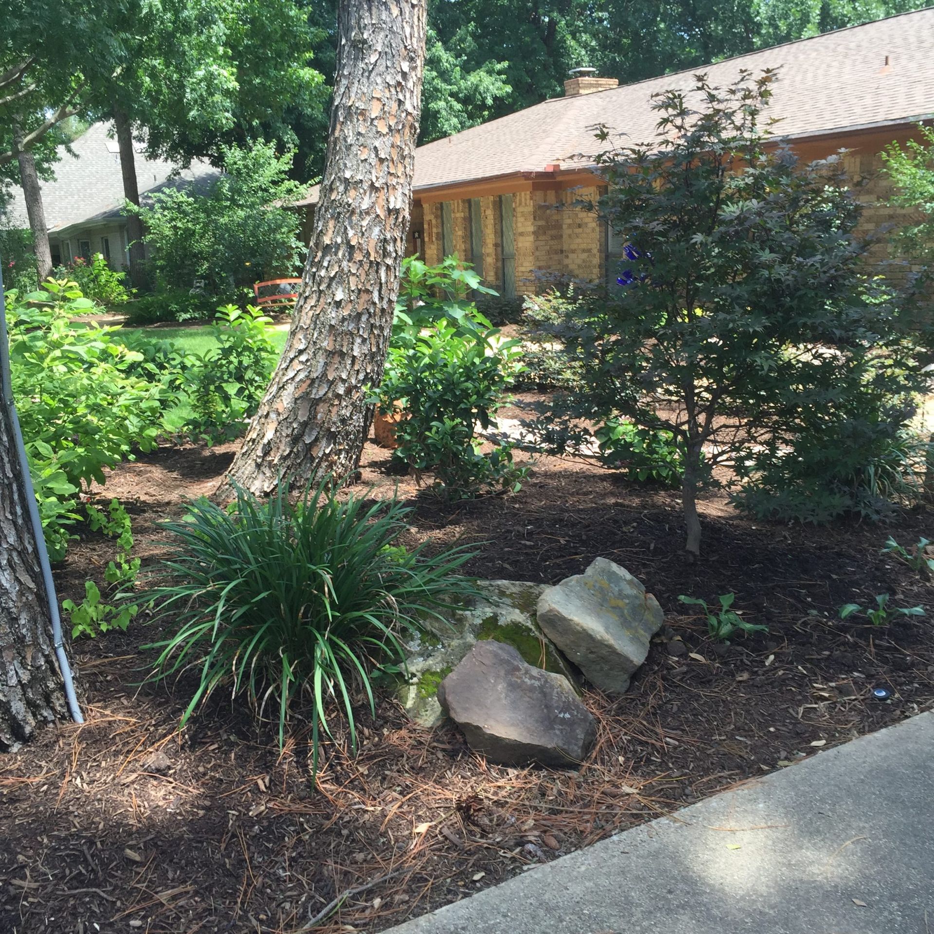 Landscaped front yard with plants, rocks, and a brick house.