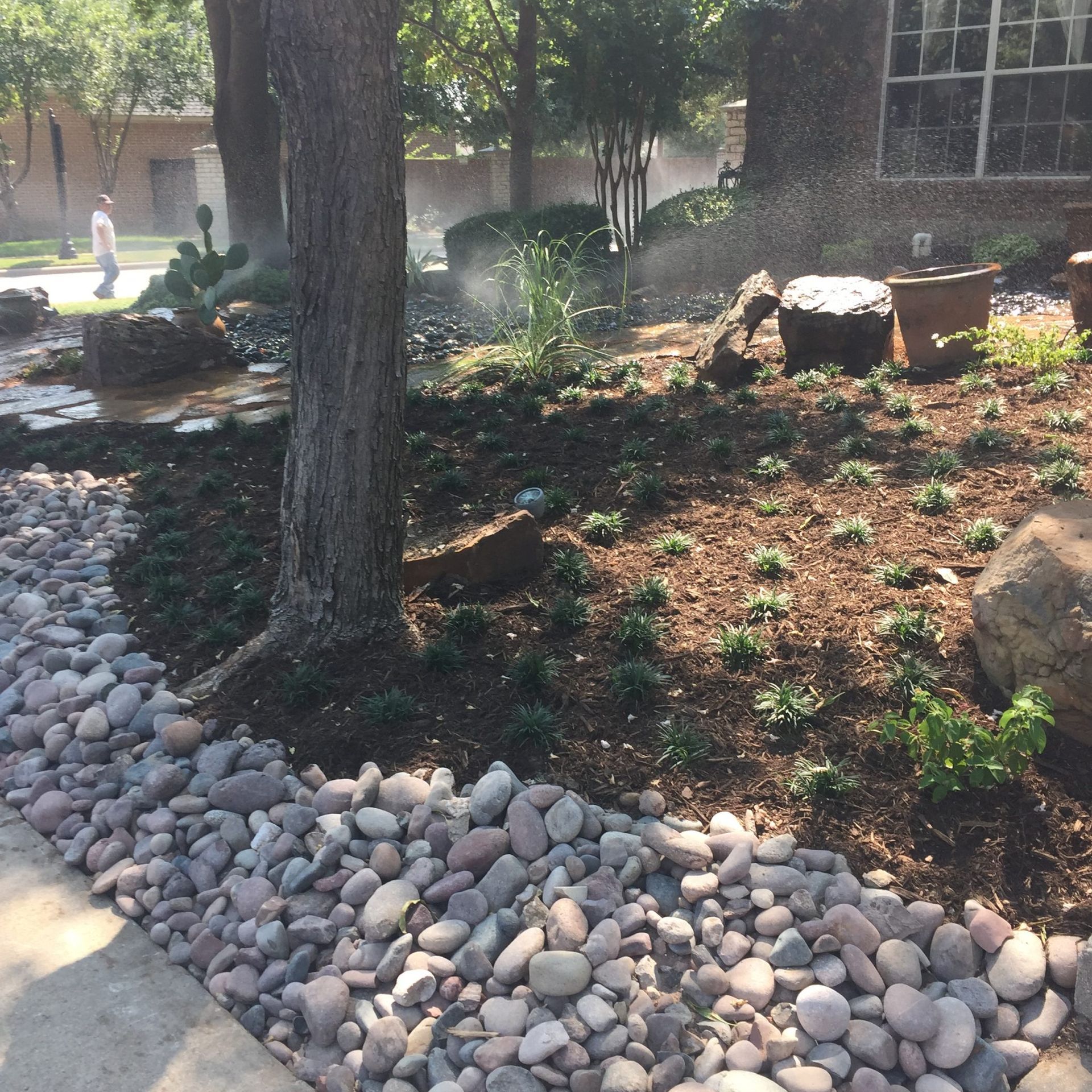 Garden with trees, rocks, and plants. A sprinkler waters the area, a person walks in the background.