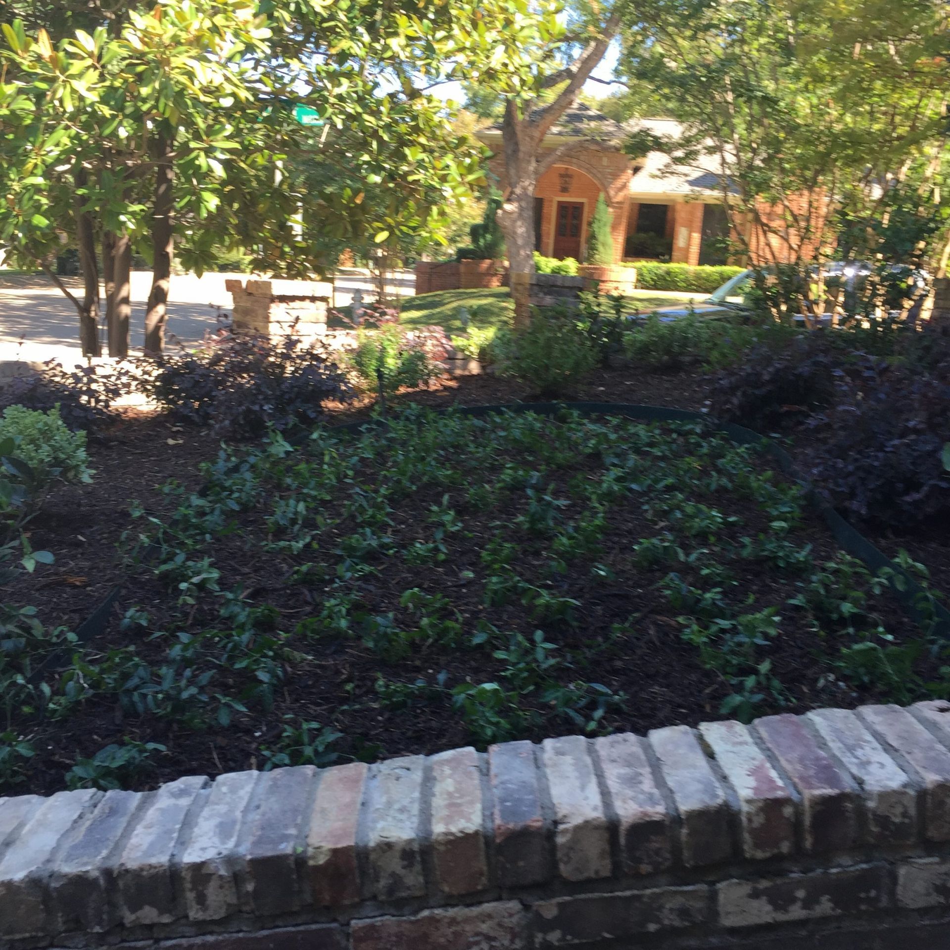 A brick-lined flowerbed with dark plants and a house in the background on a sunny day.
