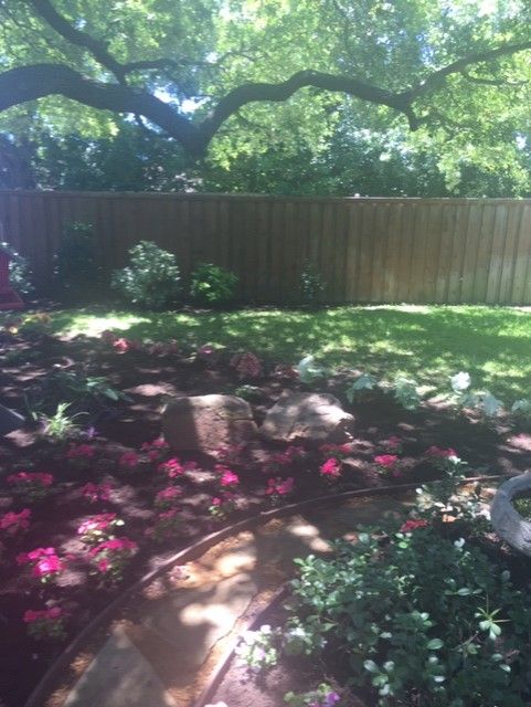 A backyard with flower beds, a wooden fence, and a tree overhead, with sunlight and shadows.