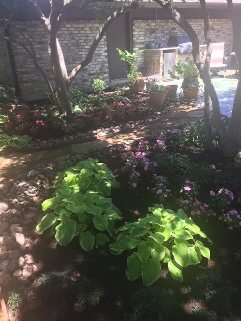 Lush garden with green and pink flowers, hostas, and brick background.