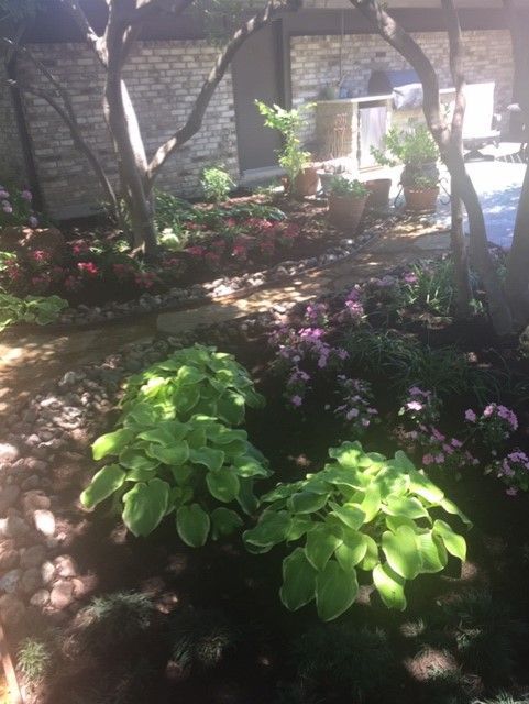 Two hostas in a shaded garden bed with various flowers, brick wall background.