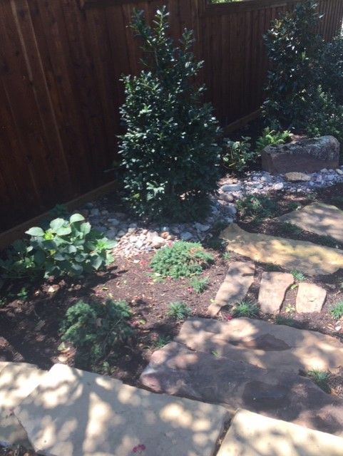 Stone path through garden with shrubs, rocks, and a wooden fence.
