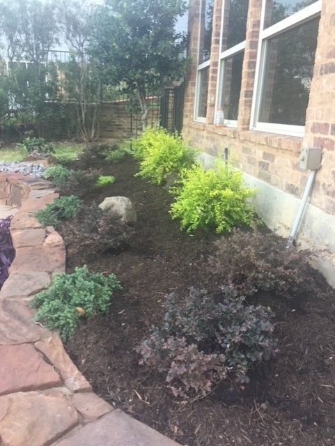 A landscaped garden bed with various shrubs and mulch along a brick building, next to a stone walkway.