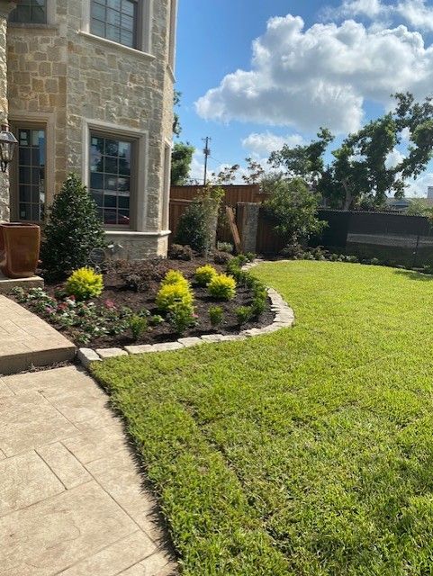 Lawn and garden next to a stone house. Green grass, yellow shrubs, and blue sky.