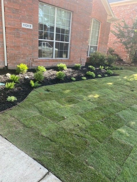 Freshly laid sod in front yard with flower bed and brick house.