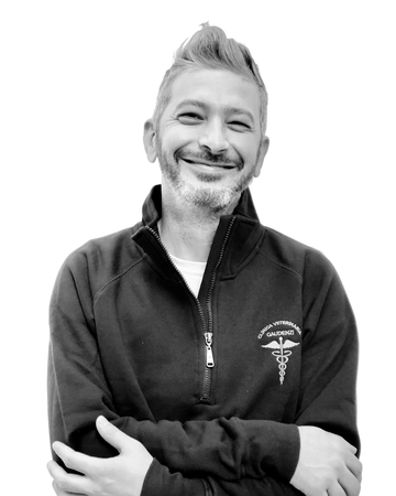 Dott. Mirko Tonelli
