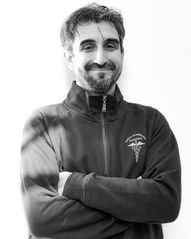 Dott. Daniele Falcioni