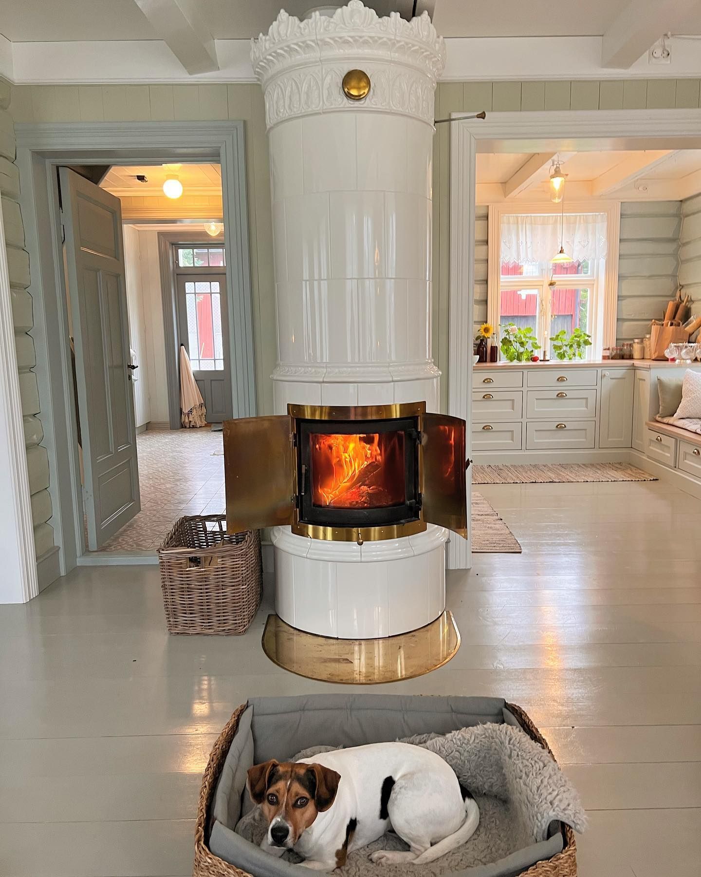 en hund som ligger i en hundsäng framför en spis