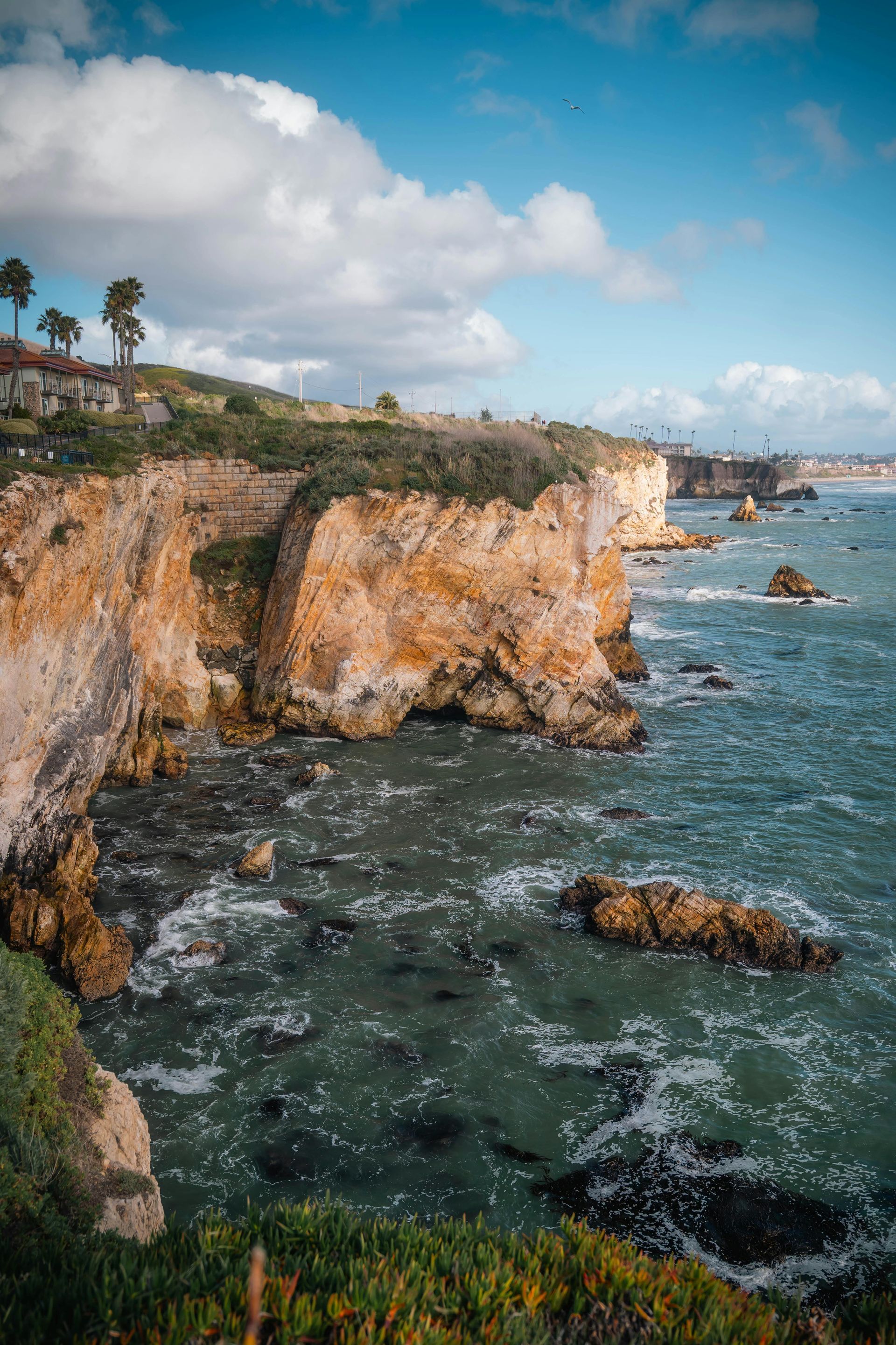 Central Coast Views