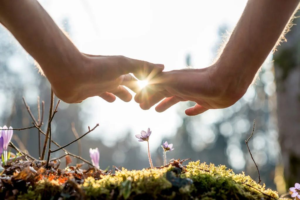 LaHoChi_high_frequency_hands_on_healing_2