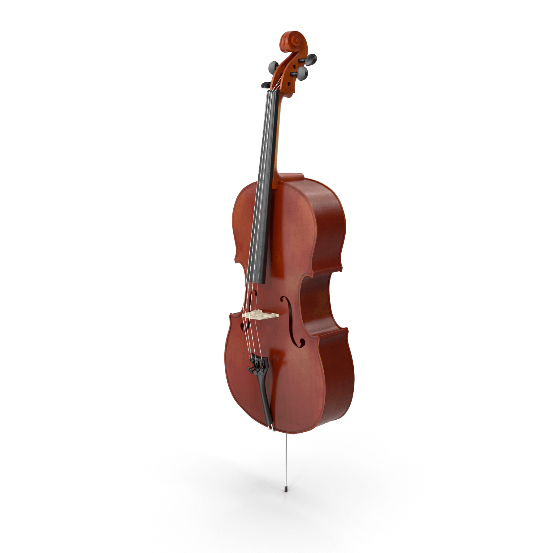 Viola