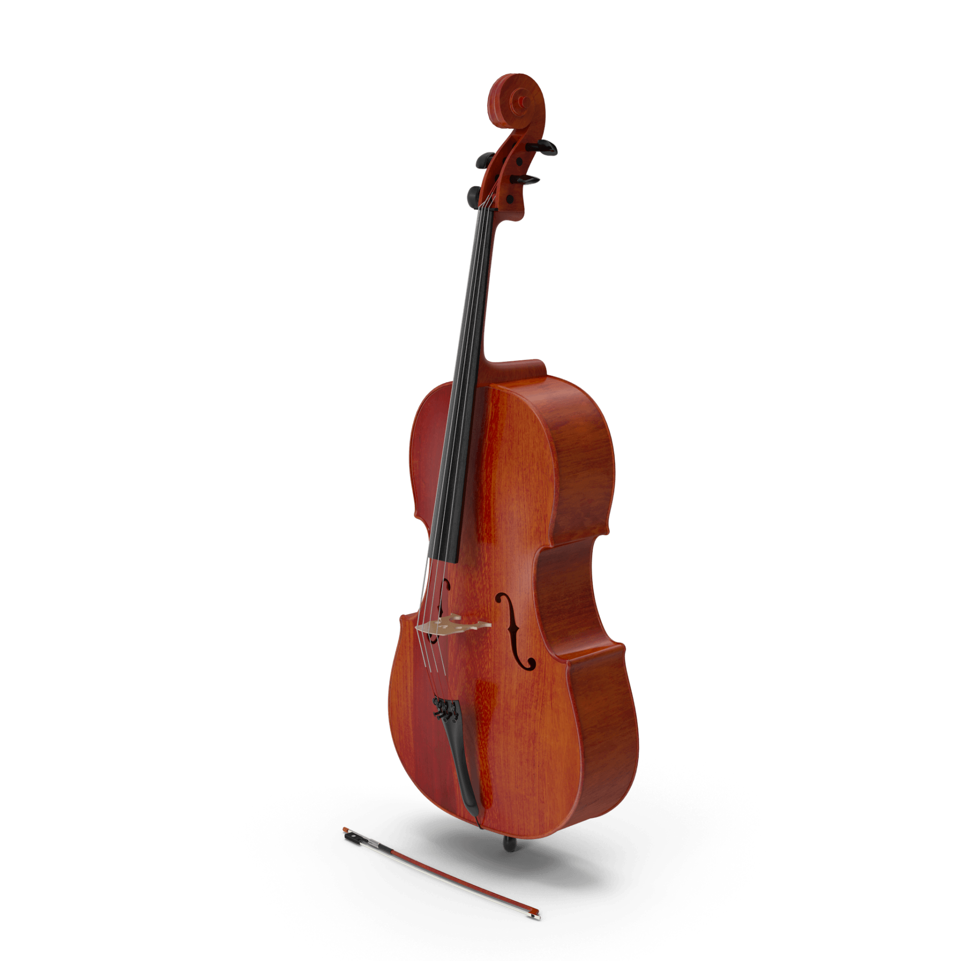 Contrabass