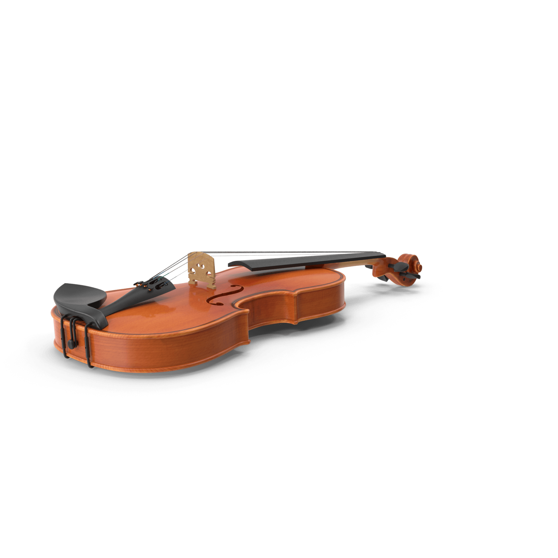 First violin