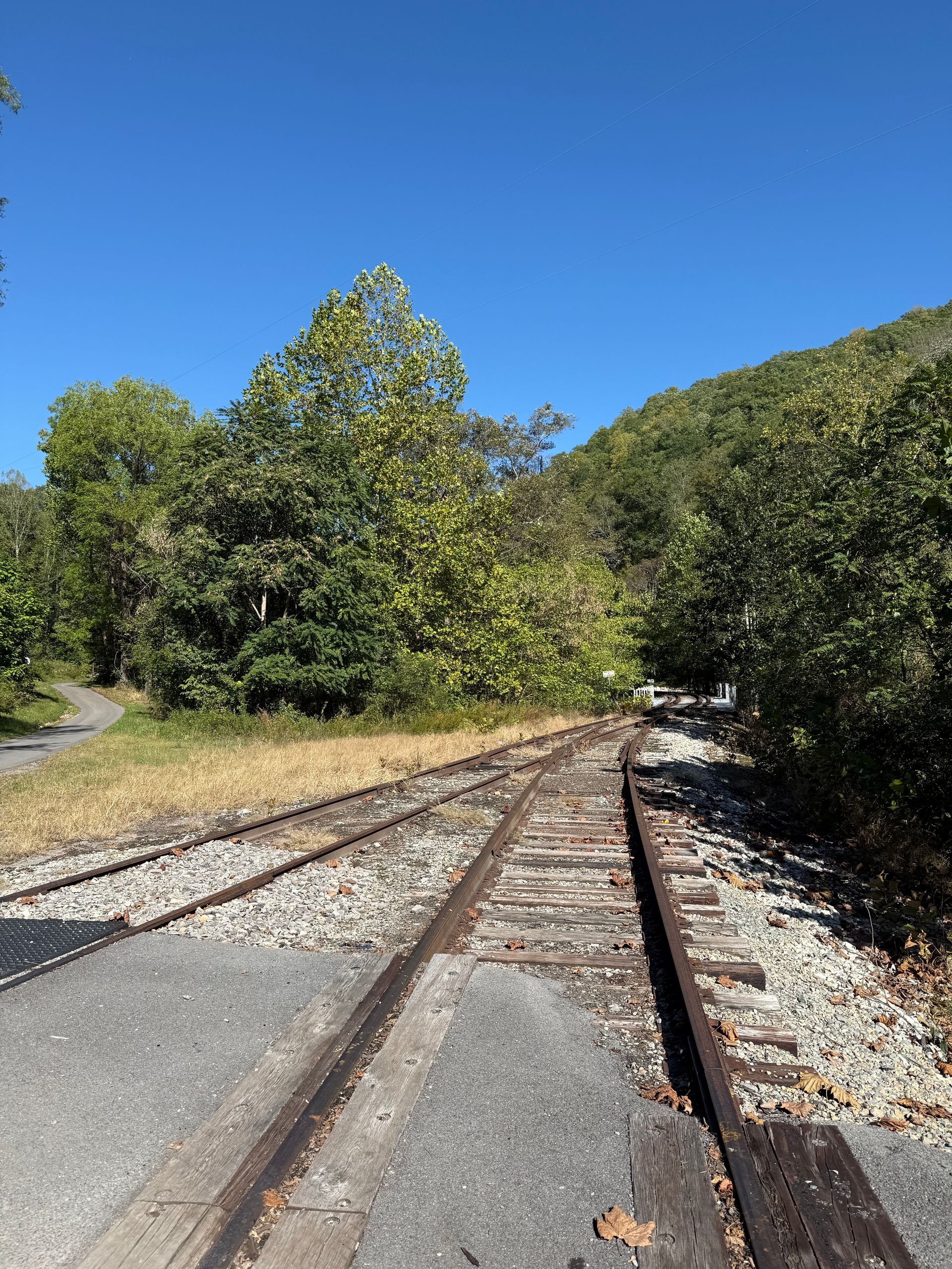 A train track with trees on the side of it