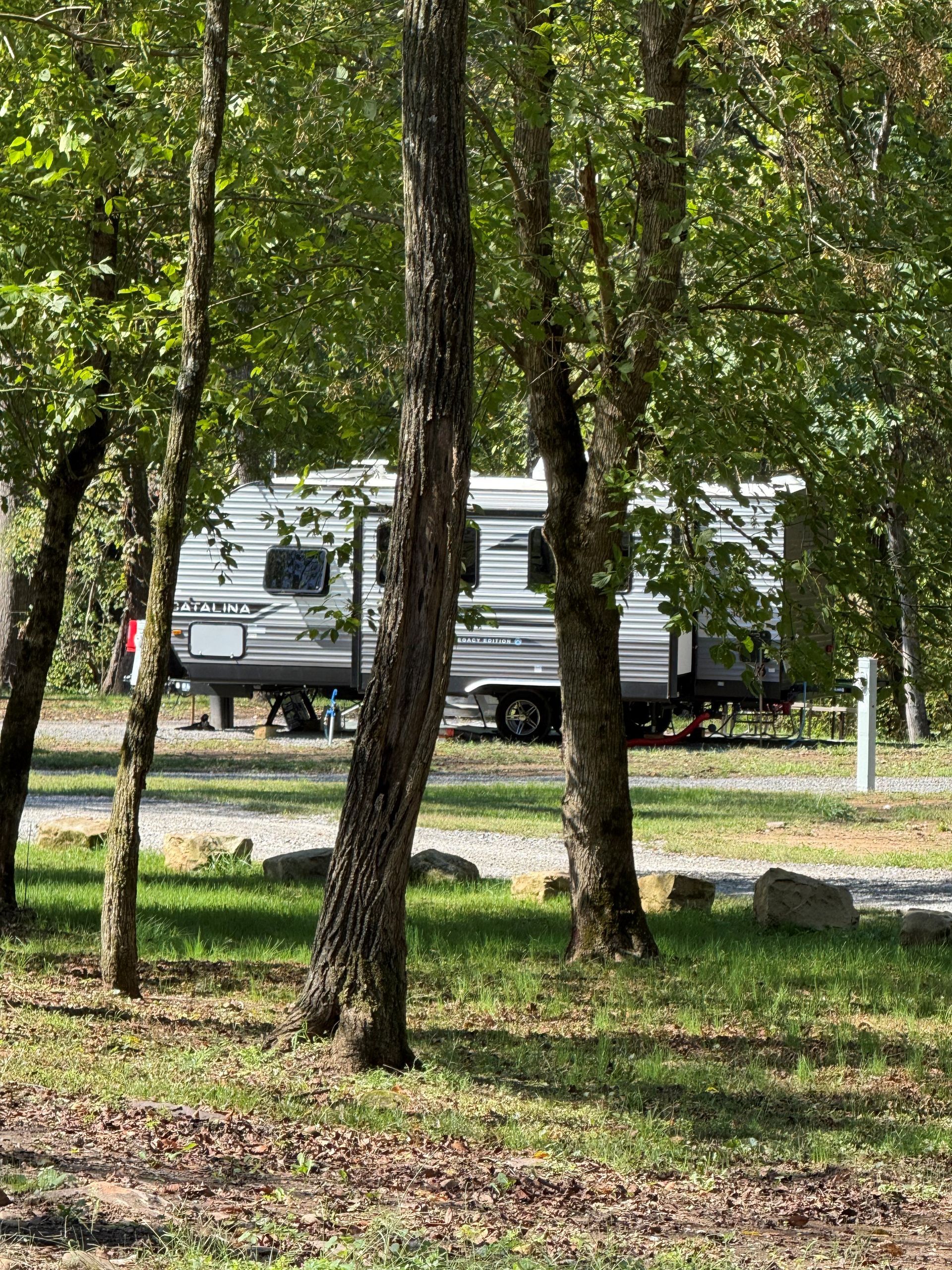 A rv is parked in a campground surrounded by trees.