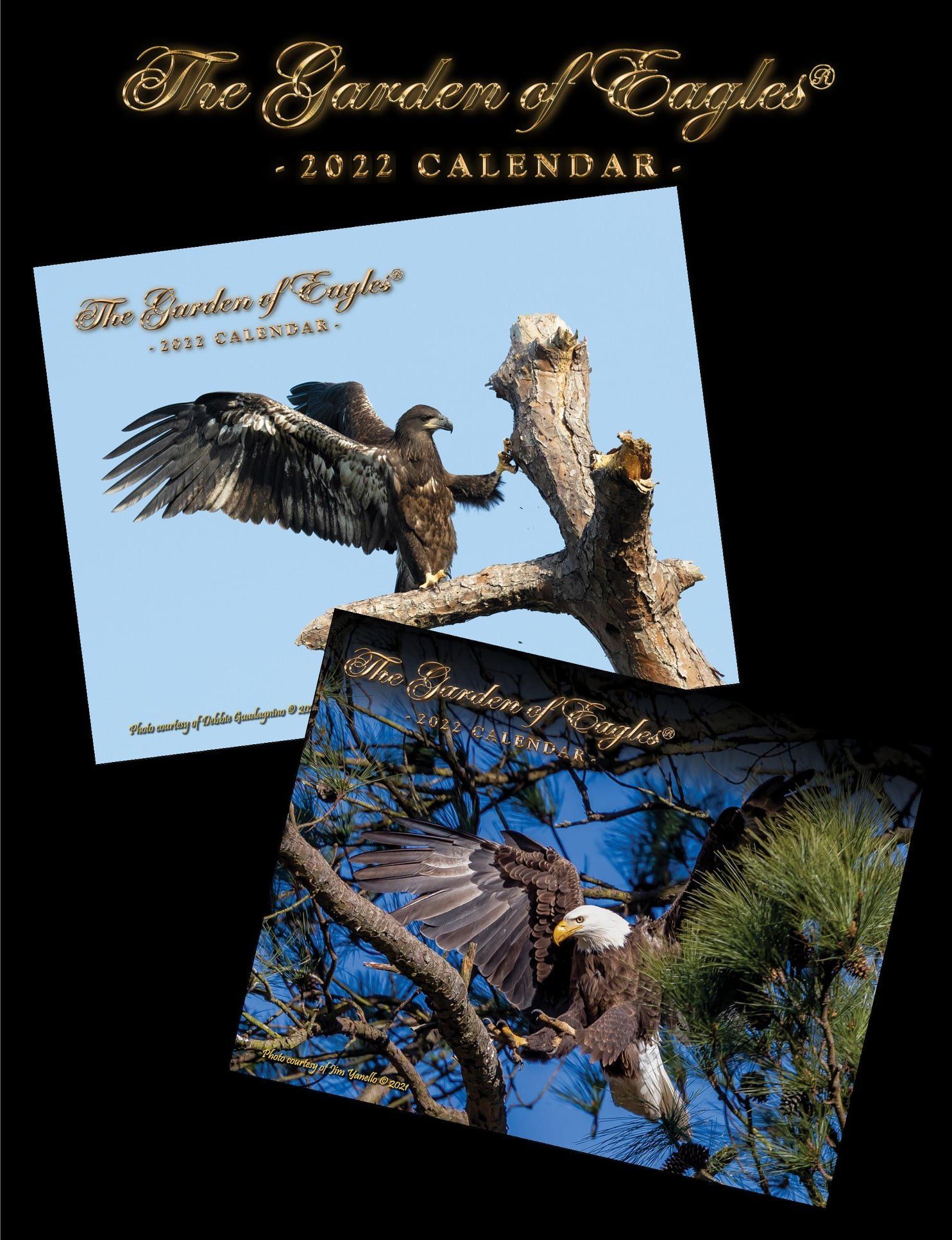 A calendar with two pictures of eagles on it