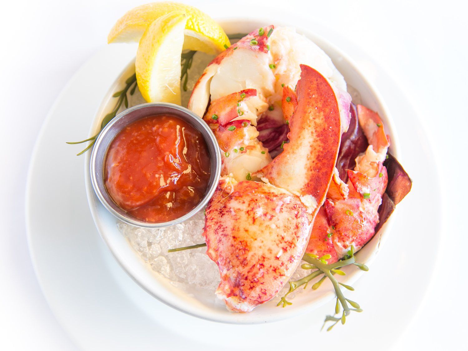 Lobster cocktail, plated
