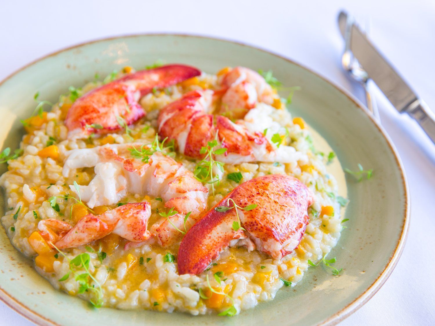 Lobster risotto, plated
