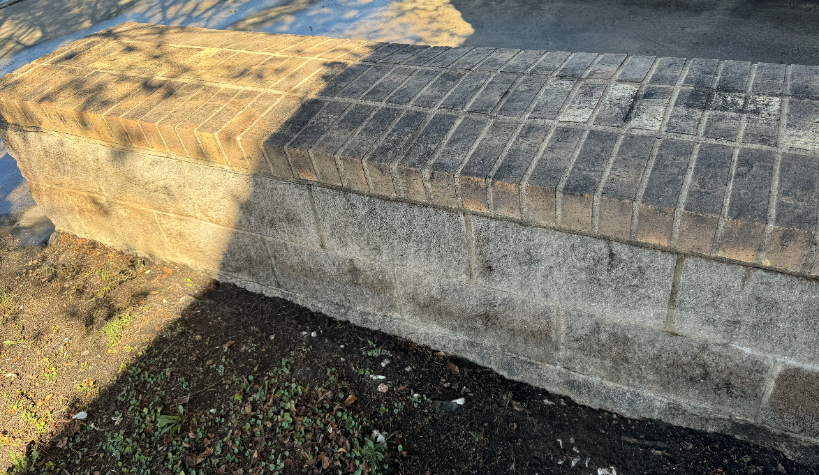 A brick wall with a shadow of a tree on it.