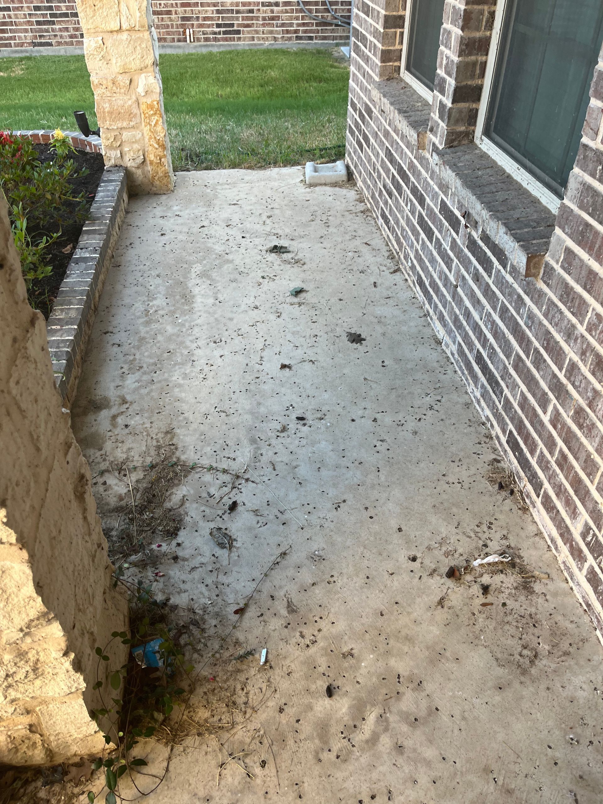 A brick building with a lot of bugs on the ground.