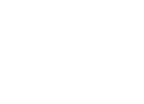 Clam Icon