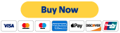 Yellow “Buy Now” button above a row of payment method logos, including Visa and Mastercard.