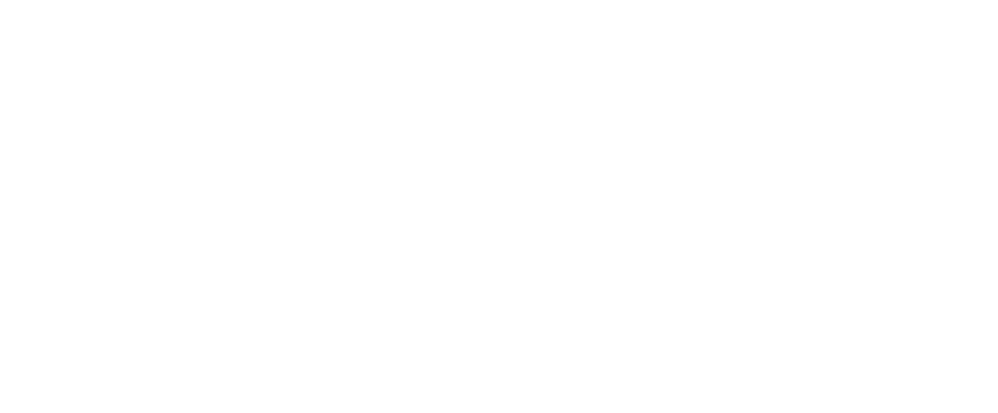 Flessner and Associates