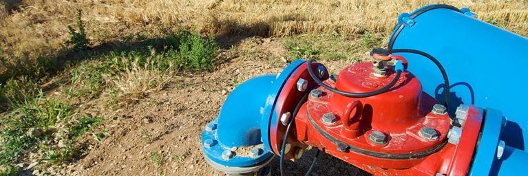 Red-and-blue industrial pump on dry grass outdoors