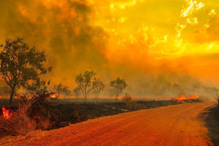 Raging wildfire along a dirt road, with orange smoke and flames under a glowing sky