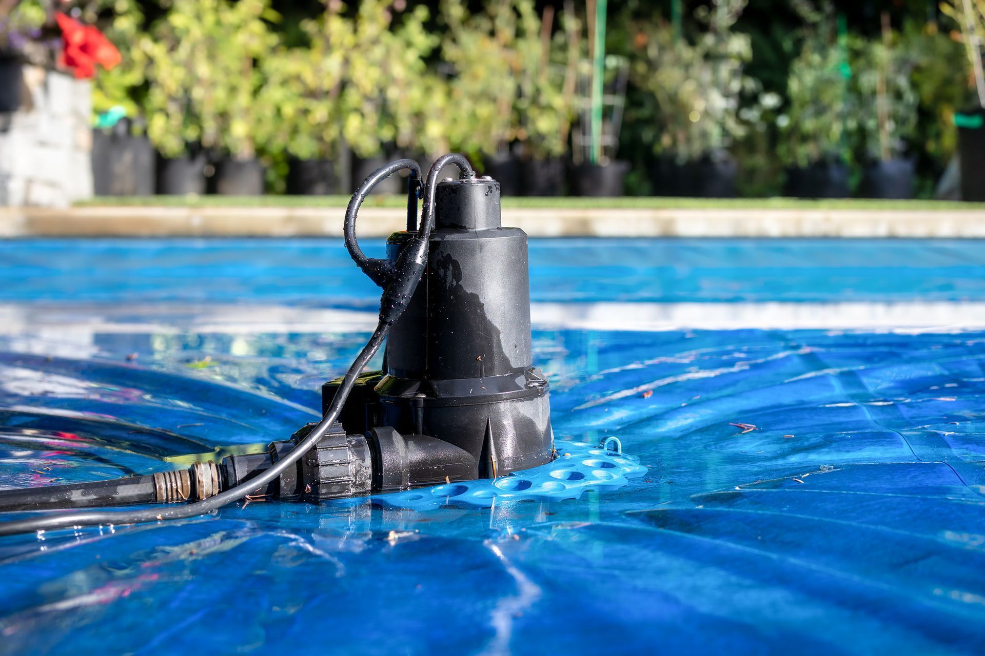 Pool pump floating in a blue swimming pool with a hose attached