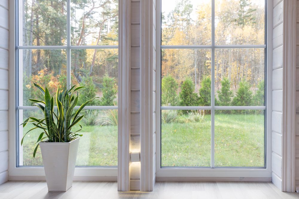 Planta blanca en maceta junto a una ventana luminosa con vistas a un jardín verde.