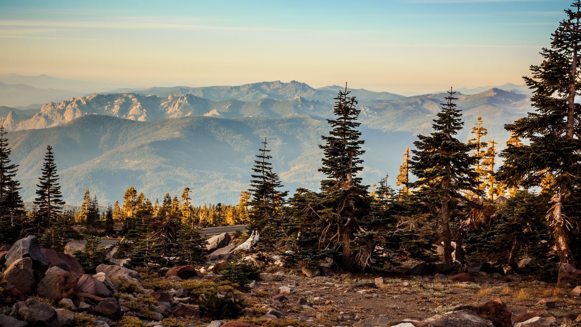 Mountain range at sunset, viewed through pine trees on a rocky hillside; golden light, blue sky.