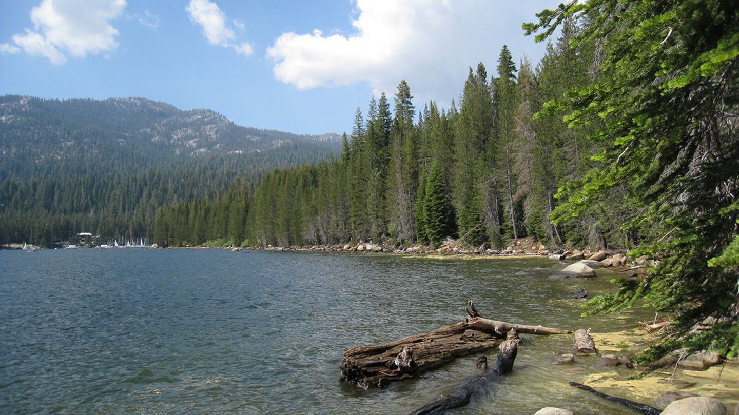 A lake surrounded by evergreen trees and mountains, with a clear sky and visible debris in the water.