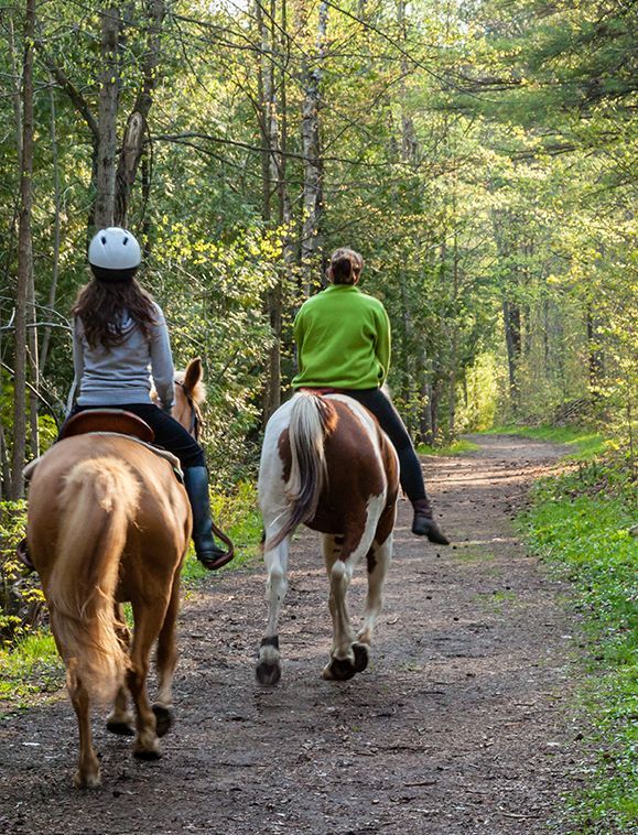 Two people ride horses on a dirt path in a forest. One horse is light brown, the other is white and brown.
