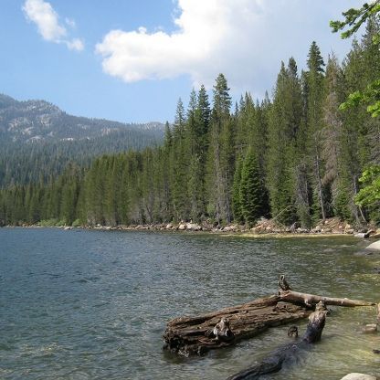 Lake scene with dark blue water, evergreen trees, and a mountain under a blue sky.