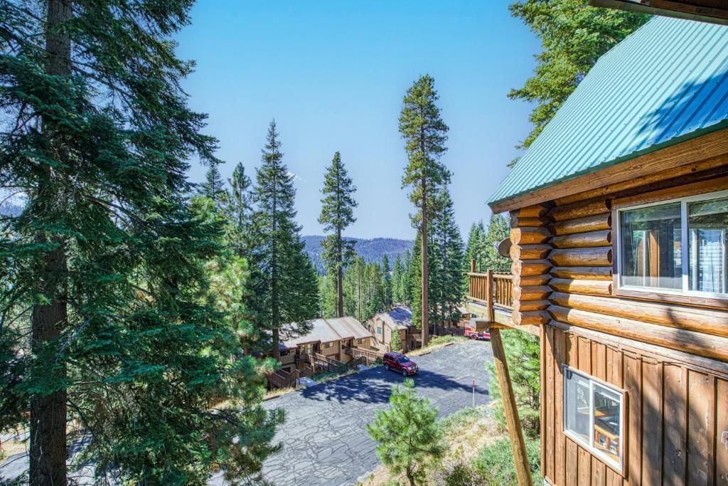 Log cabin on a wooded hillside with tall pines and a distant mountain view under a blue sky