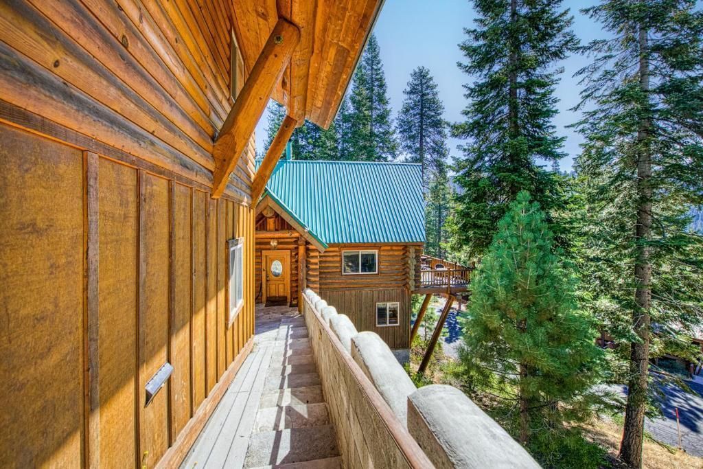 Wooden cabin walkway with a teal roof, leading through pine trees in a forest setting